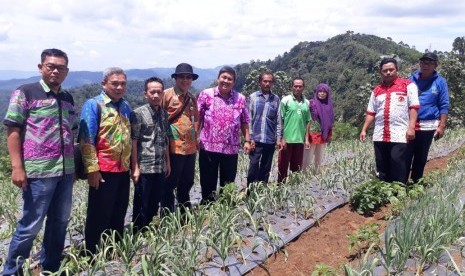 Direktur Sayuran dan Tanaman Obat Kementan, Prihasto Setyanto, saat mengunjungi Desa Talang Jawa, Kecamatan Pulau Panggung, Kabupaten Tanggamus, Kamis (31/1). 