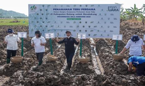 Direktur Utama Holding Perkebunan Nusantara Mohammad Abdul Ghani (kedua kiri) didampingi Bupati Batang Wihaji (kedua kanan) bersiap menanam tebu saat Penanaman Tebu Perdana di Desa Kuripan, Kecamatan Subah, Kabupaten Batang, Jawa Tengah, Jumat (1/4/2022). PT Perkebunan Nusantara (PTPN) menargetkan produksi gula pada 2022 sebesar 1,1 juta ton dan pada 2025 sebesar 1,8 juta ton gula dengan kebutuhan gula nasional sebesar 3,5 ton dimana 60 persen kebutuhan gula nasional akan diproduksi oleh PTPN.