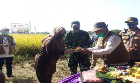 Direktur Utama Perum Bulog Budi Waseso dan Bupati Pandeglang Irna Narulita melakukan panen raya di Desa Rancaseneng, Kecamatan Cikeusik, Kabupaten Pandeglang, Banten, Selasa (28/7).