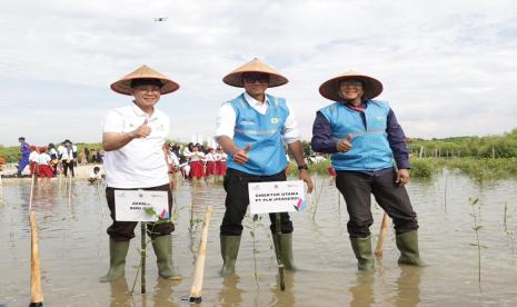 Direktur Utama PLN Darmawan Prasodjo (tengah) bersama jajaran dan Kepala Biro Infrastruktur dan Sumber Daya Alam Sekretariat Daerah Provinsi Jawa Tengah Dadang Somantri saat melakukan penanaman mangrove seluas 10 hektar di kawasan konservasi Pasarbanggi, Rembang, Jawa Tengah.