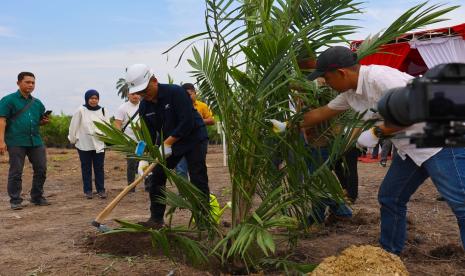 Direktur Utama PTPN IV PalmCo Jatmiko Santosa saat melakukan tanam perdana sawit mitra Koperasi Produsen Gading Jaya Makmur seluas 172,25 hektare di Kabupaten Kampar, Riau.