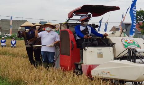 Direktur Utama Pupuk Indonesia Achmad Bakir Pasaman, Bupati Banyuwangi Azwar Anas, dan Direktur Utama Pupuk Kaltim Rahmad Pribadi dalam acara Panen Padi Agro-Solution di Desa Bubuk, Kecamatan Rogojampi, Kabupaten Banyuwangi, Jawa Timur pada Kamis (10/12). 