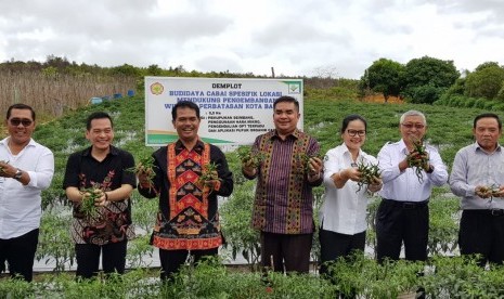 Dirjen Hortikultura Kementerian Pertanian bersama Komisi IV DPR RI melakukan kunjungan kerja ke kawasan cabai Kelompok Tani Maju Mandiri Kelurahan Setokok, Kecamatan Bulang, Kota Batam, Provinsi Kepulauan Riau.