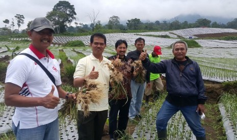 Dirjen Hortikultura Kementerian Pertanian, Suwandi saat mengunjungi sentra bawang putih di Banyuwangi 