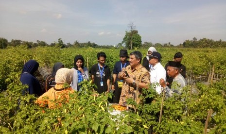 Dirjen Hortikultura Prihasto Setyanto berdialog bersama petani cabai