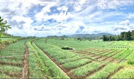  Dirjen Hortikultura Prihasto Setyanto mendorong sistem pertanian hortikultura yang ramah lingkungan, salah satunya dengan pengembangan bawang merah yang diberi nama Glowing. 