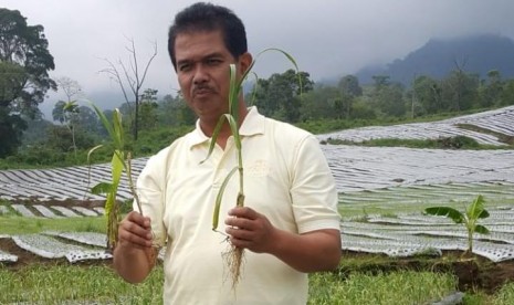 Dirjen Hortikultura, Suwandi dalam kunjungannya di Kecamatan Licin, Banyuwangi, Ahad (27/1).