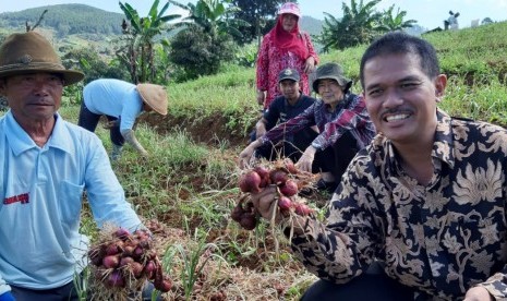 Dirjen Hortikultura Suwandi memanen bawang merah bersama petani di Bandung