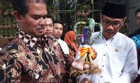 Dirjen Hortikultura Suwandi meninjau lahan pertanian bawang putih