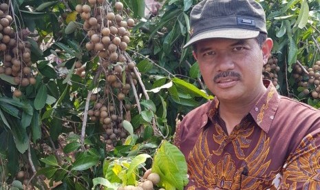 Dirjen Hortikultura, Suwandi sangat mengunjungi kebun lengkeng di Semarang, Rabu (19/12).