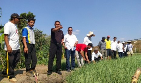 Dirjen Hortikultura Suwandi sedang menunjuk area pertanian bawang di Nganjuk Jawa Timur