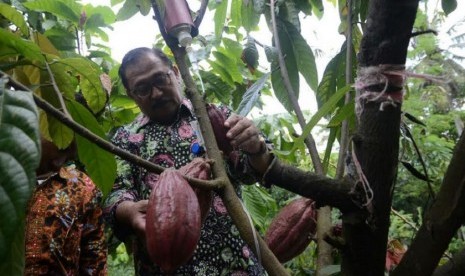 Dirjen Pembangunan Kawasan Pedesaan (PKP) Johozua M. Yoltuwu saat meninjau perkebunan kakao milik petani di Gambiran, Bunder, Patuk, Gunung Kidul, Yogyakarta, Sabtu (1/10).