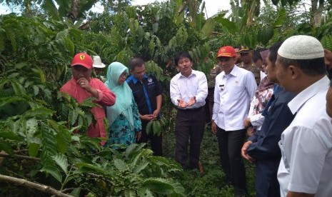 Dirjen Perkebunan Kementerian Pertanian Bambang (keempat dari kiri) sedang berbincang dengan para petani kopi di Kabupaten Lampung Tengah, Rabu (31/1).