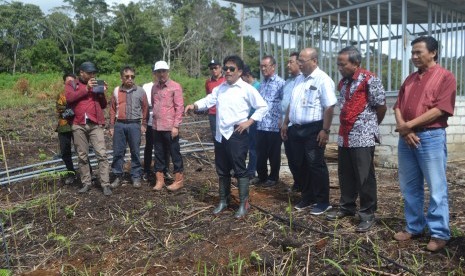 Dirjen Perkebunan Kementerian Pertanian, Bambang (kemeja putih berkaca mata hitam), saat meninjau lahan perluasan perkebunan kopi Kerinci di Kota Sungai Penuh, Jambi, Jumat (25/1).