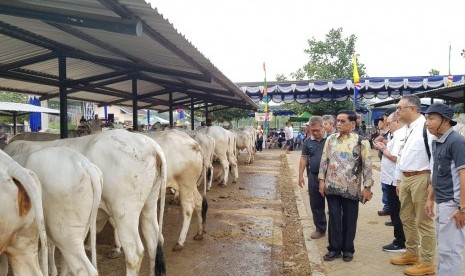 Dirjen Peternakan dan Kesehatan Hewan I Ketut Diarmita meninjau peternakan sapi