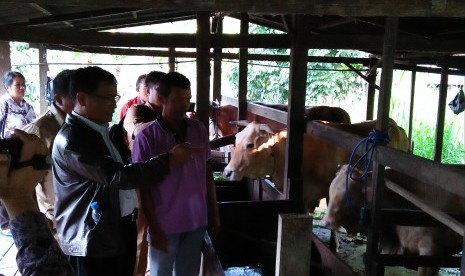 Dirjen Peternakan Diarmita meninjau peternakan sapi di Bulungan, Kalimantan Utara (Kaltara).