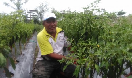 Dirjen Prasarana dan Sarana Pertanian Kementerian Pertanian Pending Dadih Permana berkunjung ke Ketua Gapoktan Bismillah Haji Saupi yang dianggap menjadi teladan bagi para petani sekitar di Lombok Tengah, NTB, Kamis (23/3). 