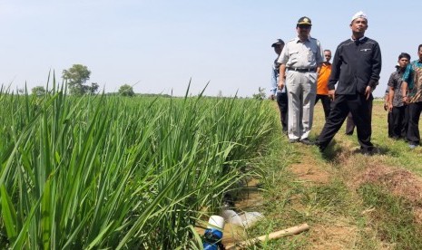 Dirjen Prasarana dan Sarana Pertanian Kementerian Pertanian, Sarwo Edhy, bersama Wakil Bupati Purwakarta Aming dan Kadispangtan Purwakarta, Agus Rachlan Suherlan, meninjau lokasi sawah yang terancam kekeringan di Desa Cibodas, Kecamatan Bungursari, Rabu (24/7). 