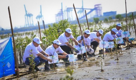 Dirsum Pelindo III dan direksi anak usaha menanam bakau di Pulau Galang, Surabaya, Jawa Timur.