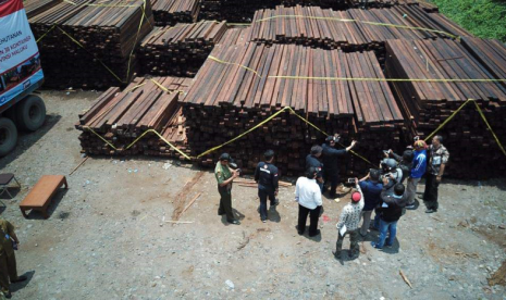 Ditjen penegakkan hukum KLHK di Gersik bersama wartawan meninjau lokasi penangkapan kayu merbau ilegal asal Kep. Aru di Kawasan Industri Surabaya, Februari 2019.