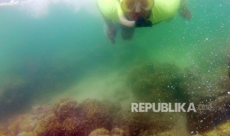 Diving Bunaken, Kota Manado, Provinsi Sulawesi Utara.