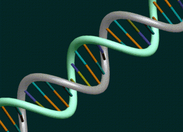 DNA (ilustrasi)