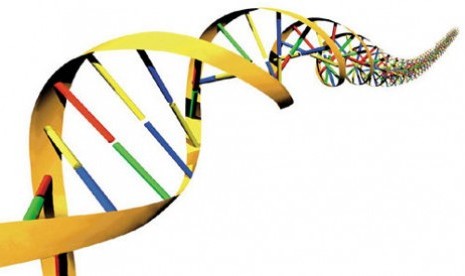 DNA (ilustrasi)