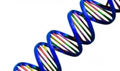 DNA (ilustrasi)