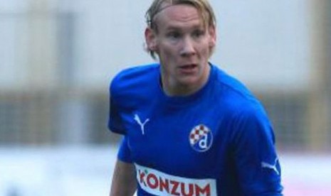 Domagoj Vida