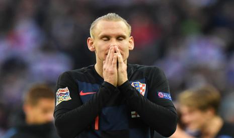 Domagoj Vida