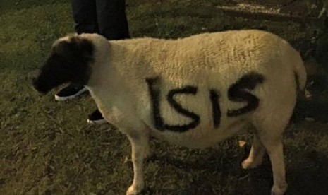 domba Gracie diculik dan dicoret nama ISIS