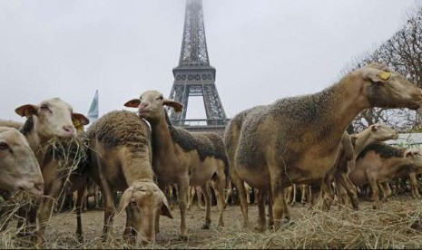 Domba yang dilepas di Menara Eiffel