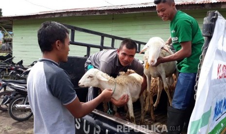  Dompet Dhuafa (DD) menyalurkan hewan kurban. 