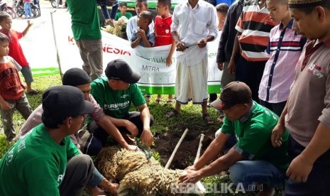  Dompet Dhuafa (DD) menyalurkan hewan kurban sebanyak 53 ekor kambing untuk dikurbankan di 14 desa yang ada di Kecamatan Ketol dan Silih Nara, dataran tinggi Gayo, Kabupaten Aceh Tengah, Provinsi Aceh. 