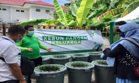 Dompet Dhuafa gagas kebun pangan keluarga untuk membangun ketahanan pangan secara mandiri.