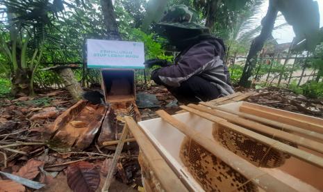 Dompet Dhuafa Lampung mendampingi peternak madu di Desa Bangunrejo, Kabupaten Lampung Tengah, Lampung, Ahad (26/12)