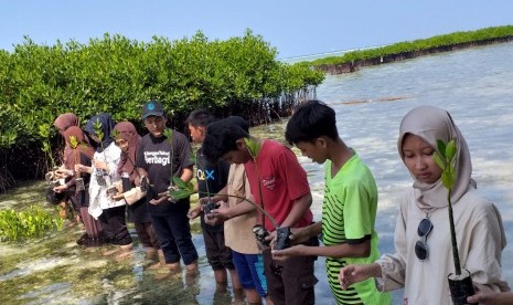 Dompet Dhuafa, Rumah Hijau, pelajar, warga, komunitas, NGO dan pemerintah menanam bibit mangrove di Pulau Pramuka, Kepulauan Seribu, Jakarta, Rabu (14/8). 