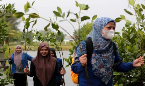 Dosen bersama mahasiswa Universitas Islam Negeri (UIN) Ar-Raniry membawa mangrove untuk ditaman di Hutan Kota Tibang, Banda Aceh, Aceh, Sabtu (15/10/2022). Civitas akademika UIN Ar-Raniry bersama mahasiswa menanam 2.000 lebih pohon mangrove di kawasan pesisir Pantai Selat Malaka dan Samudra Hindia untuk meningkatkan fungsi ekologis, melindungi pantai dari erosi serta abrasi. 