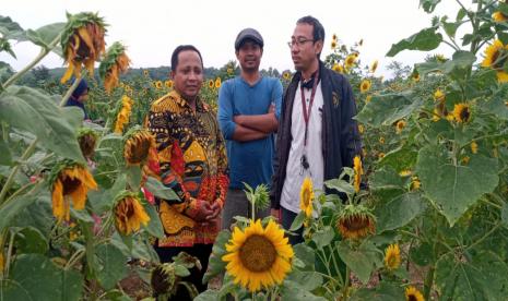 Dosen Fakultas Agama Islam (FAI) Universitas Muhammadiyah Malang (UMM) Pradana Boy tengah mengembangkan wisata Taman Bunga Banjar Sekar di Dusun Mencorek Desa Sendangharjo, Lamongan, Jawa Timur. 