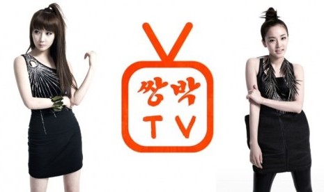 Double Park TV, Park Bom dan Sandara Park (from Soompi).jpg Double Park TV, Park Bom dan Sandara Park