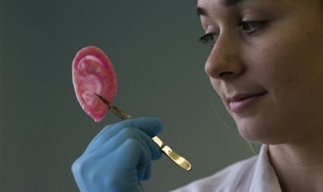 Dr Michelle Griffin, a plastic research fellow, poses for photographs with a synthetic polymer ear at her research facility in the Royal Free Hospital in London, Monday, March 31, 2014. 