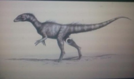 Dracoraptor danigani