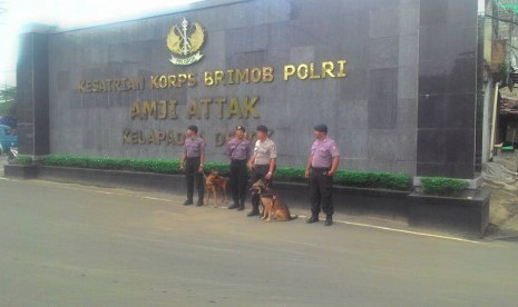 Two Malinois sniffer dogs are alerted around Mako Brimob area, Kelapa Dua, Depok, West Java where the convicted blasphemer Basuki Tjahaja Purnama (Ahok) jailed on Wednesday (May 10, 2017).