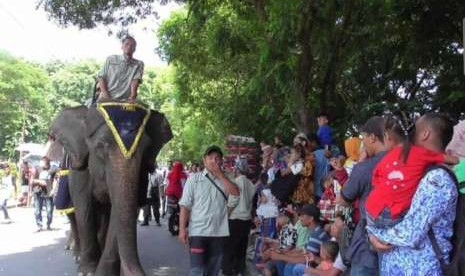  Dua ekor gajah sumatra ikut memeriahkan pawai HUT ke-73 RI yang digelar Pemerintah Kabupaten Langkat, Sumatra Utara, Jumat (17/8). 