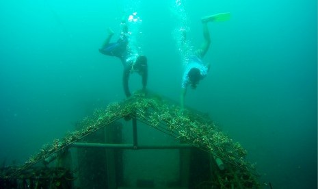 Dua orang nelayan melakukan tranplantasi terumbu karang di Pantai Bangsring, Banyuwangi, Jawa Timur, Rabu (6/4). 