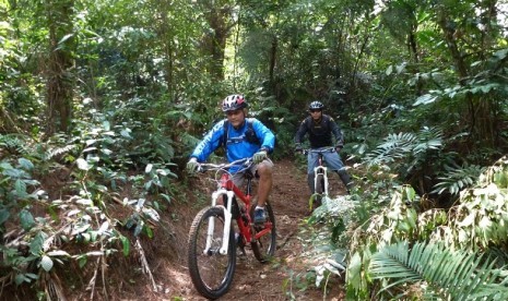 Dua pecinta sepeda gunung melintas di hutan pinus ketika mengisi libur lebaran mereka di Telaga Warna Dua, Puncak, Bogor, jabar, Minggu (11/8). Warga mengisi libur lebaran dengan berbagai kegiatan temasuk beraktivitas di alam terbuka dengan sepeda gunung.