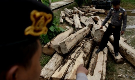 Dua personel kepolisian menunjukan barang bukti kayu jati curian dari hutan lindung di Kabupaten Konawe, Sulawesi Tenggara, Kamis (17/3).