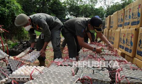 Dua petugas Satuan Polisi Pamong Praja Provinsi Kalbar membongkar tumpukan karton berisi telur ilegal saat pemusnahan di Kantor Gubernur Kalbar di Pontianak, Kalimantan Barat, Senin (31/1/2022). Satpol PP Provinsi Kalbar memusnahkan 38.880 butir telur ayam Arab dan telur bebek yang diasinkan hasil penertiban dari pemasok telur di daerah setempat, karena tidak memiliki dokumen resmi. 