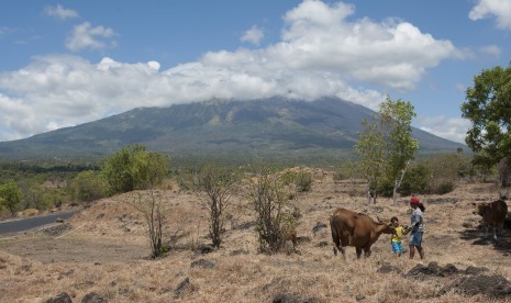 Dua warga mengembalakan sapi di Desa Batu Dawa yang berjarak sekitar 10 kilometer dari Gunung Agung, Karangasem, Bali, Senin (25/9). 