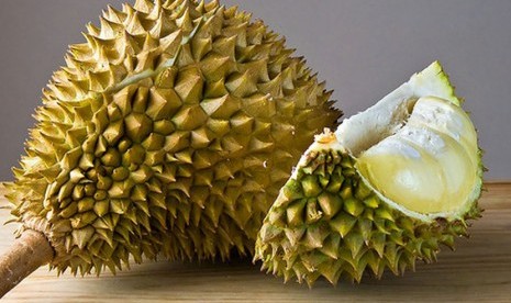 Ruas Kota Bengkulu Jadi Lokasi Wisata Durian